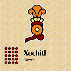 xochitl